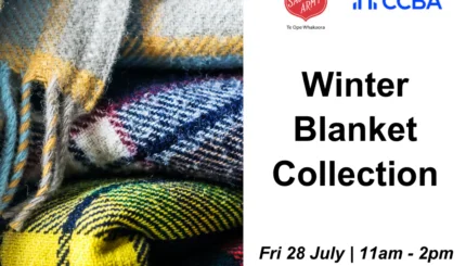 Winter Blanket Collection