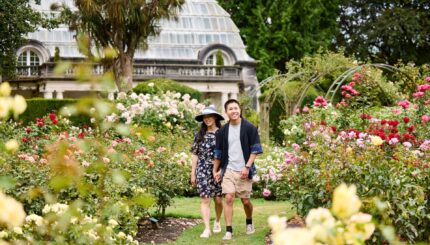 Emma’s Ultimate Christchurch Weekend Guide